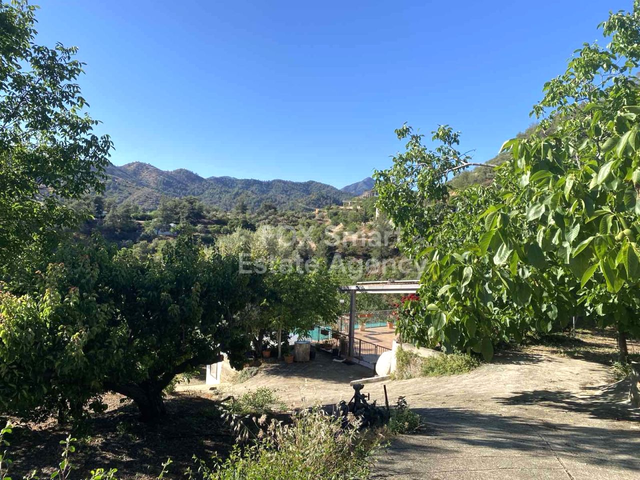 Thumbnail 15 Propiedad 2745 Palaichori Oreinis, Nicosia / 46469 | 46469 Thumbnail 15 Propiedad 2745 Palaichori Oreinis, Nicosia / 46469