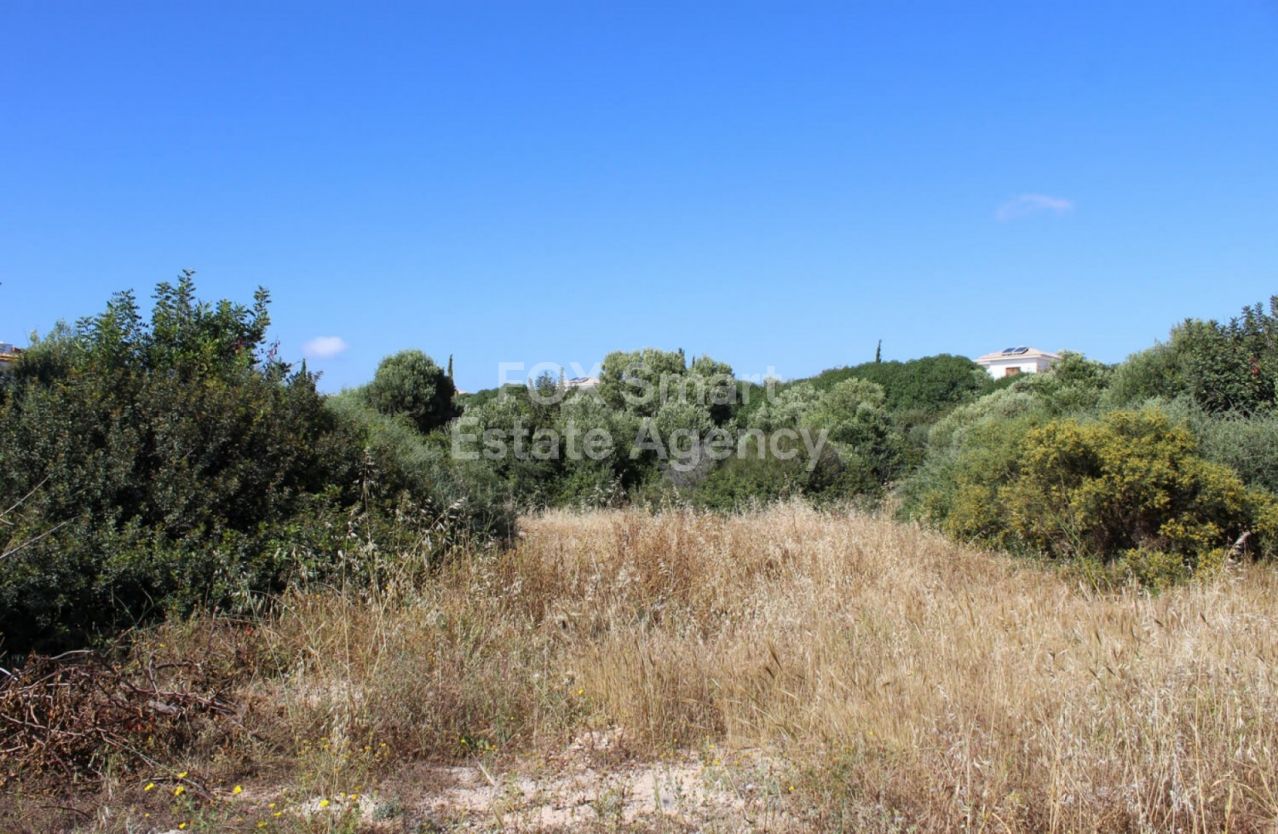 Thumbnail 4 LIM-PAF-P-123742 / נכס 8500 קוקליה, פאפוס