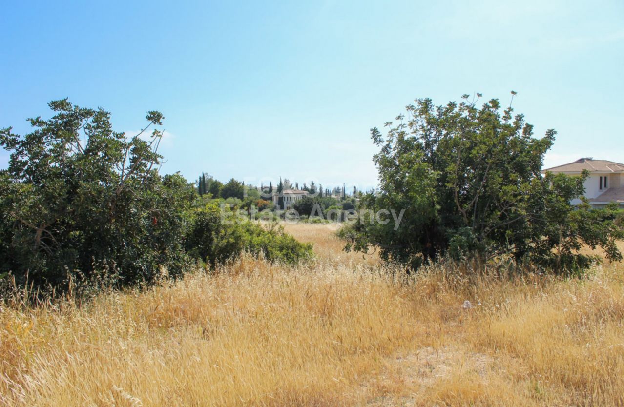 Thumbnail 6 Property 2958 Mansoura, Nicosia / LIM-PAF-12723