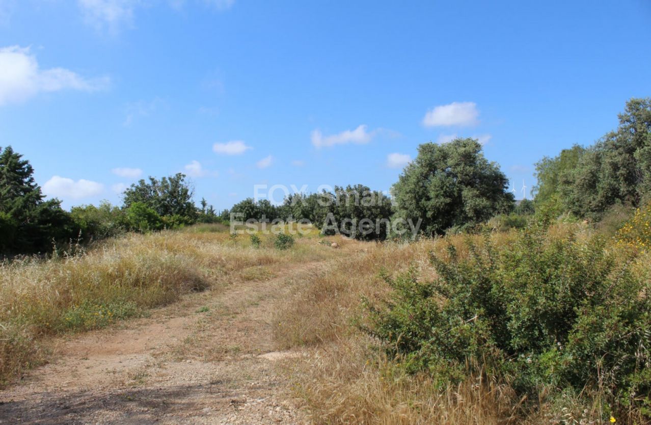 Thumbnail 7 Property 2958 Mansoura, Nicosia / LIM-PAF-12723