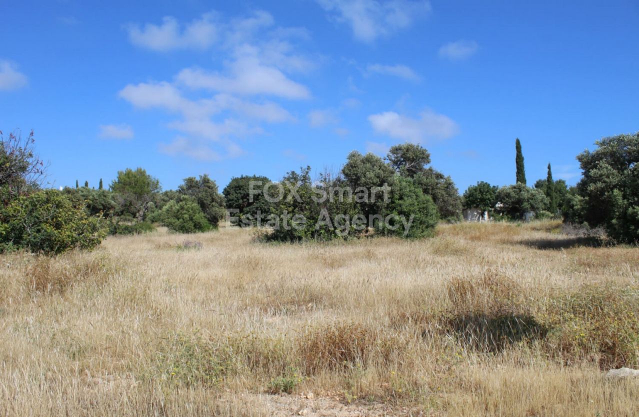 Thumbnail 2 Propiedad 8500 Kouklia, Pafos / LIM-PAF-P-123742