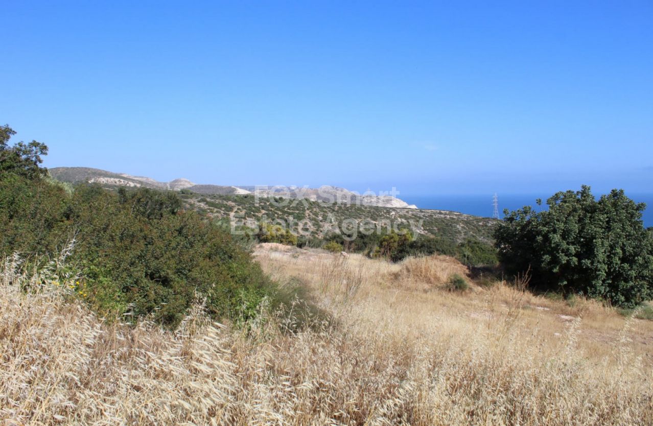 Thumbnail 4 Property 8500 Kouklia, Paphos / LIM-PAF-P-123742