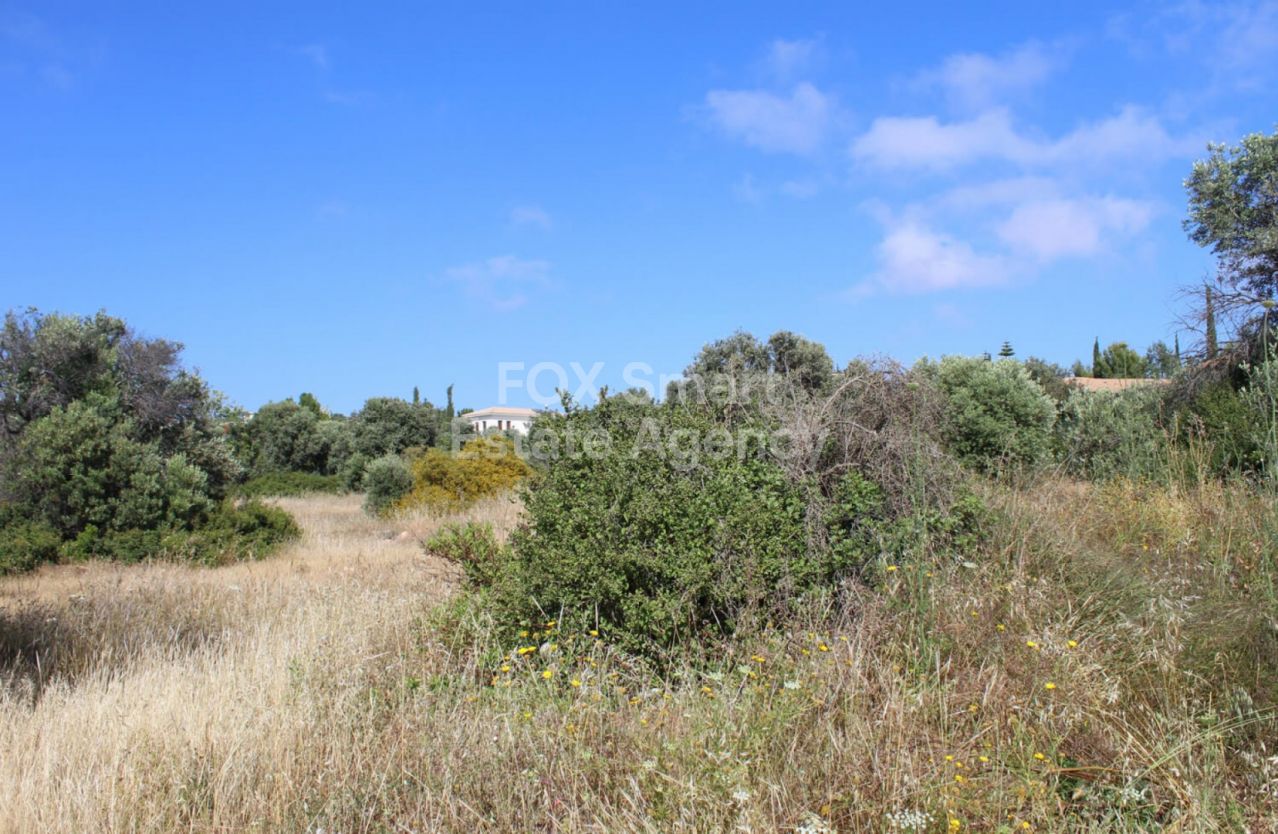 Thumbnail 1 Propiedad 8500 Kouklia, Pafos / LIM-PAF-P-123742