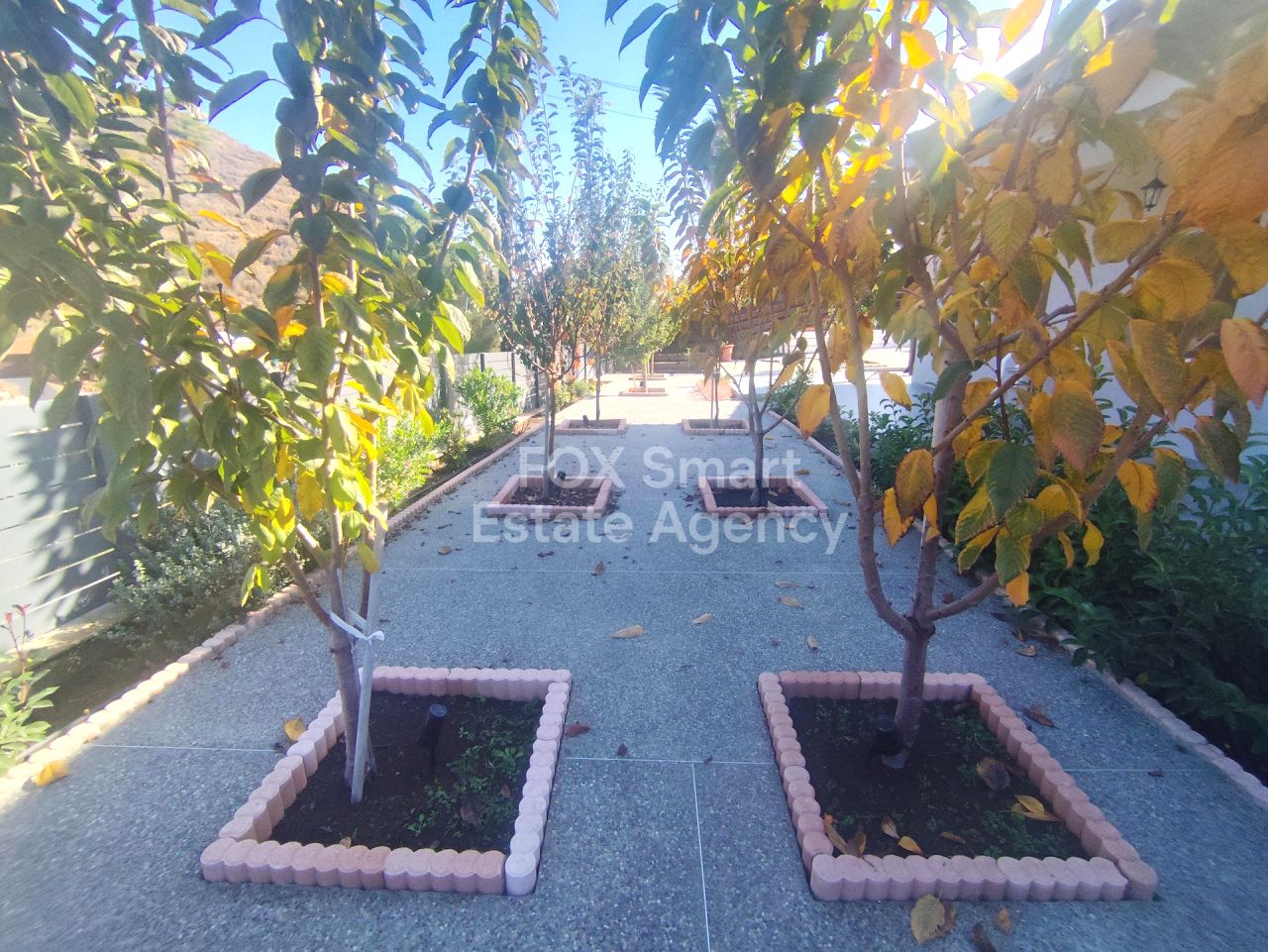 Thumbnail 38 LIM-PAF-33387 / נכס 4566 קאלו צ'וריו, לימסול