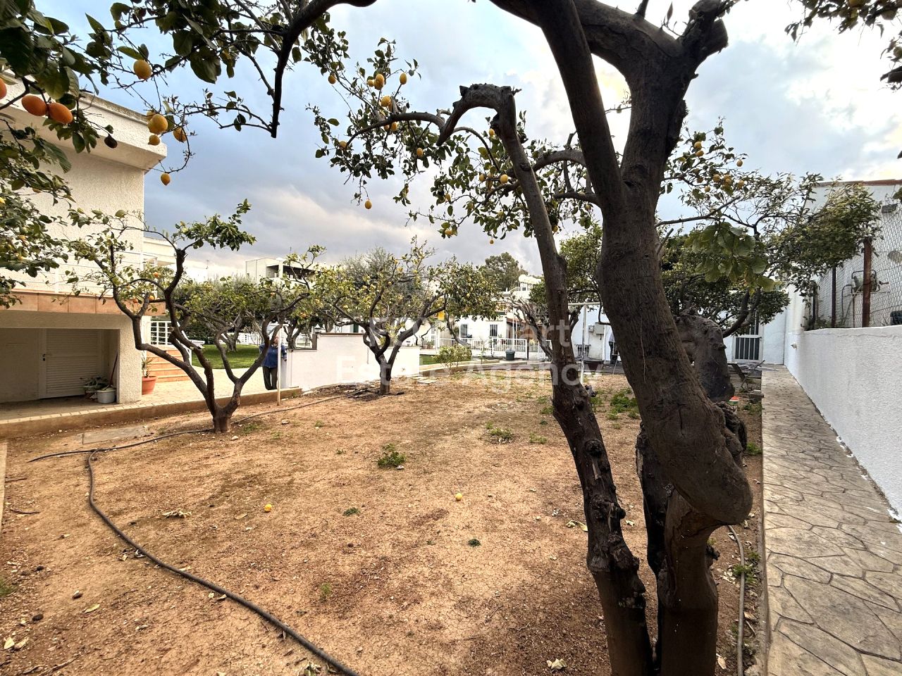 Thumbnail 4 Propriété 3082 Kapsalos, Limassol / LIM-PAF-33014