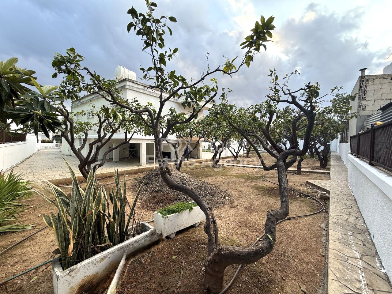 Thumbnail 3 Propriété 3082 Kapsalos, Limassol / LIM-PAF-33014