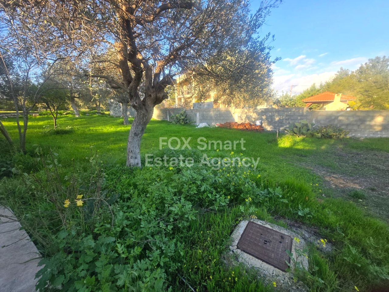 Thumbnail 12 Właściwość 2958 Mansura, Nikozja / LIM-PAF-32915