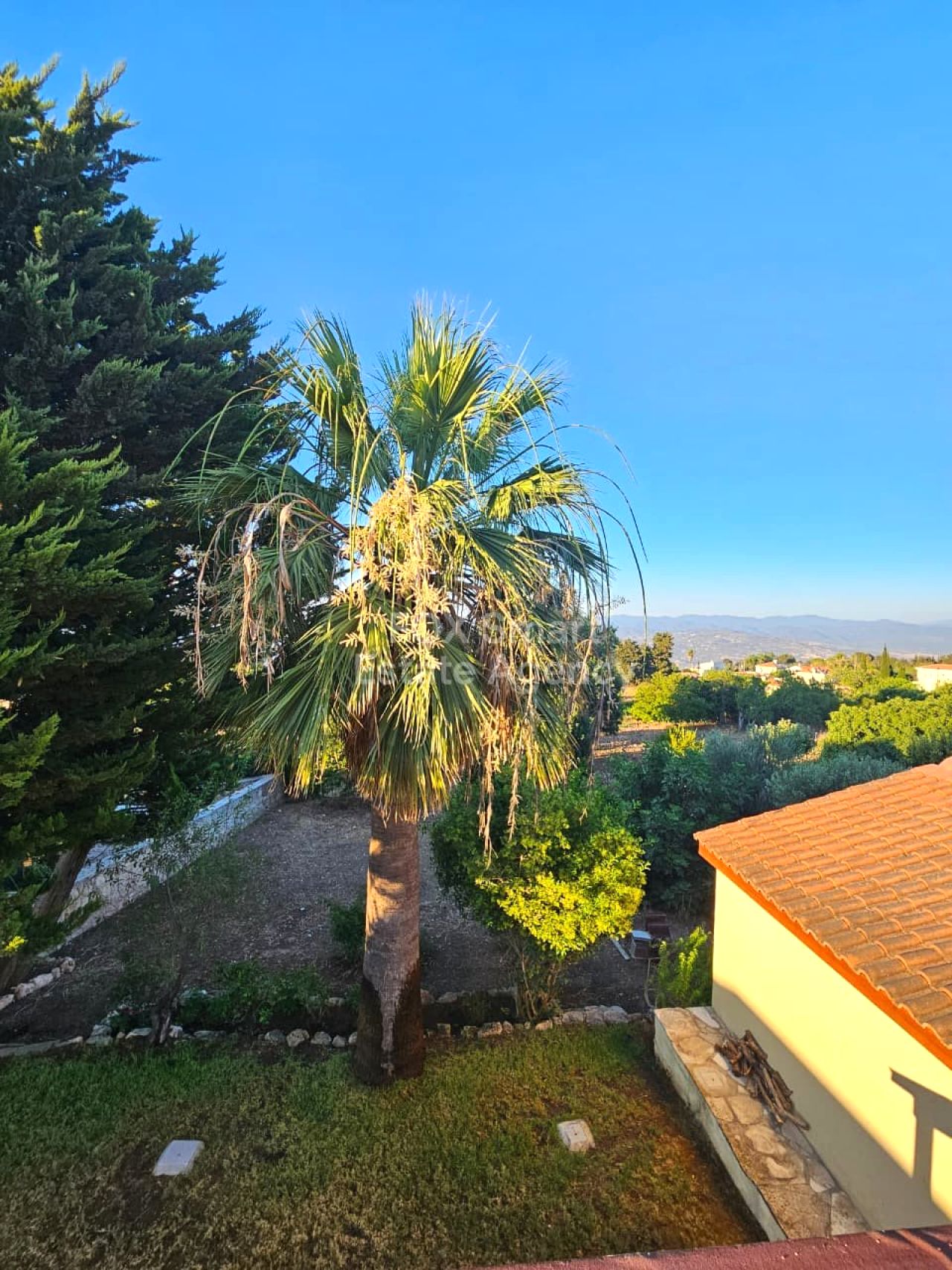 Thumbnail 22 Proprietà 2958 Mansoura, Nicosia / LIM-PAF-32945