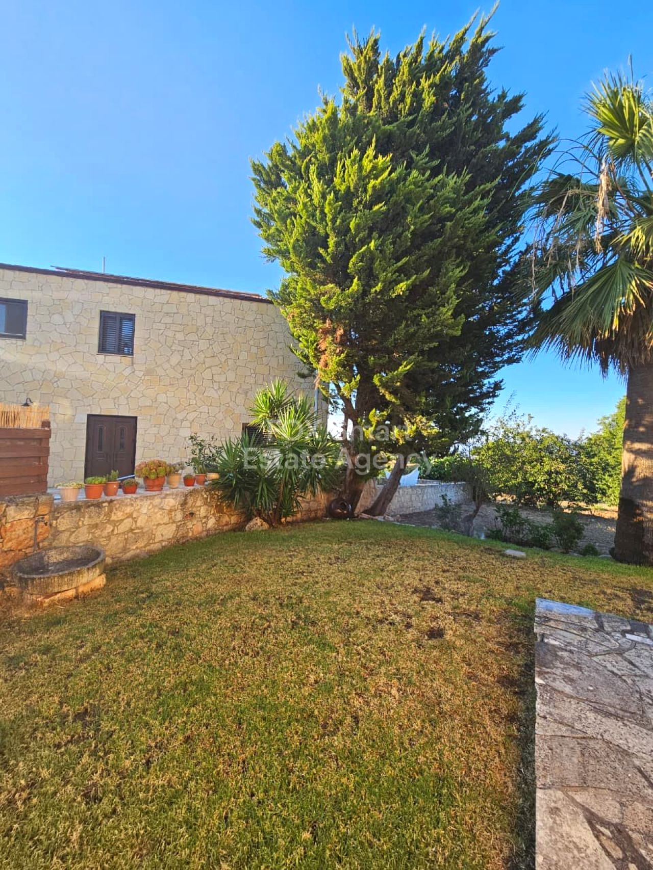 Thumbnail 5 Proprietà 2958 Mansoura, Nicosia / LIM-PAF-32945