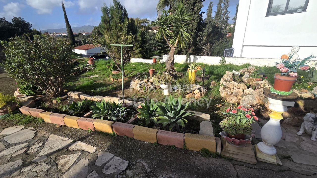 Thumbnail 12 Property 4525 Moni, Limassol / LIM-PAF-32836