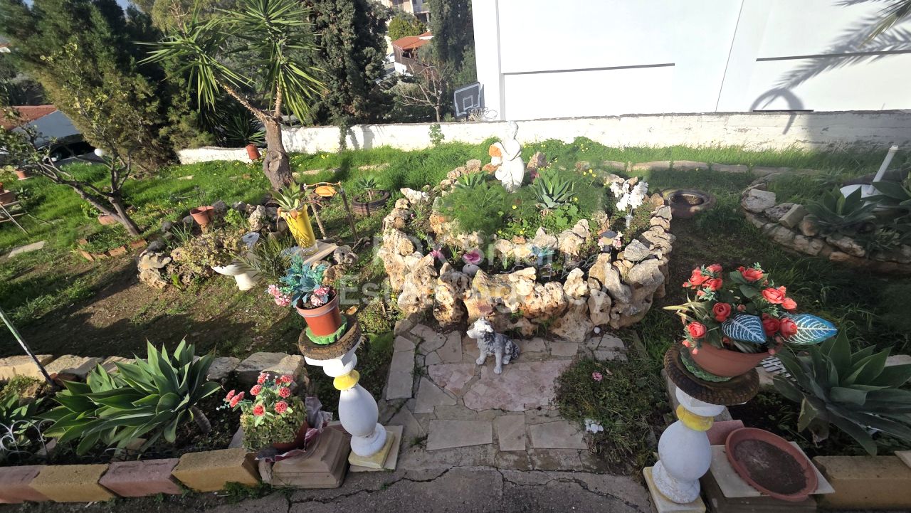 Thumbnail 13 Property 4525 Moni, Limassol / LIM-PAF-32836