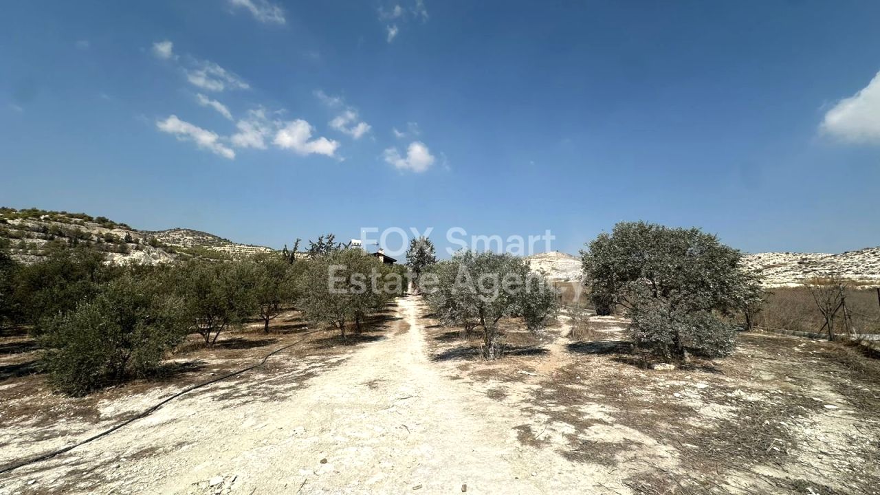 Thumbnail 14 Property 7100 Aradippou, Larnaca / 45732