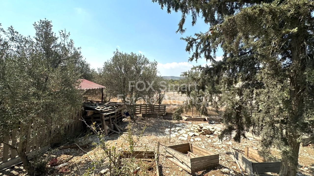 Thumbnail 21 Property 7100 Aradippou, Larnaca / 45732