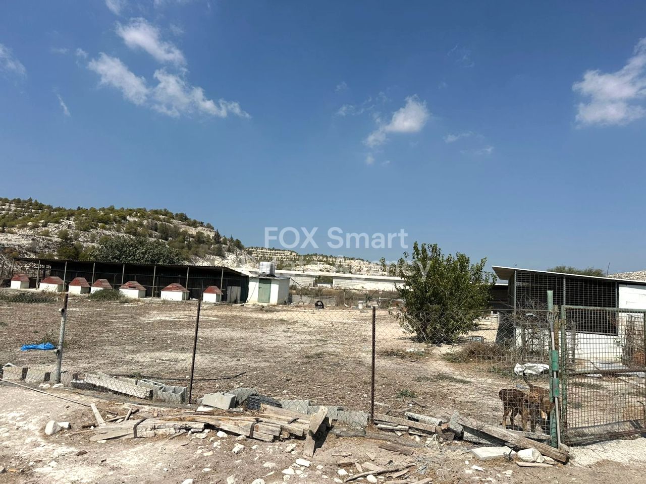 Thumbnail 25 Property 7100 Aradippou, Larnaca / 45732