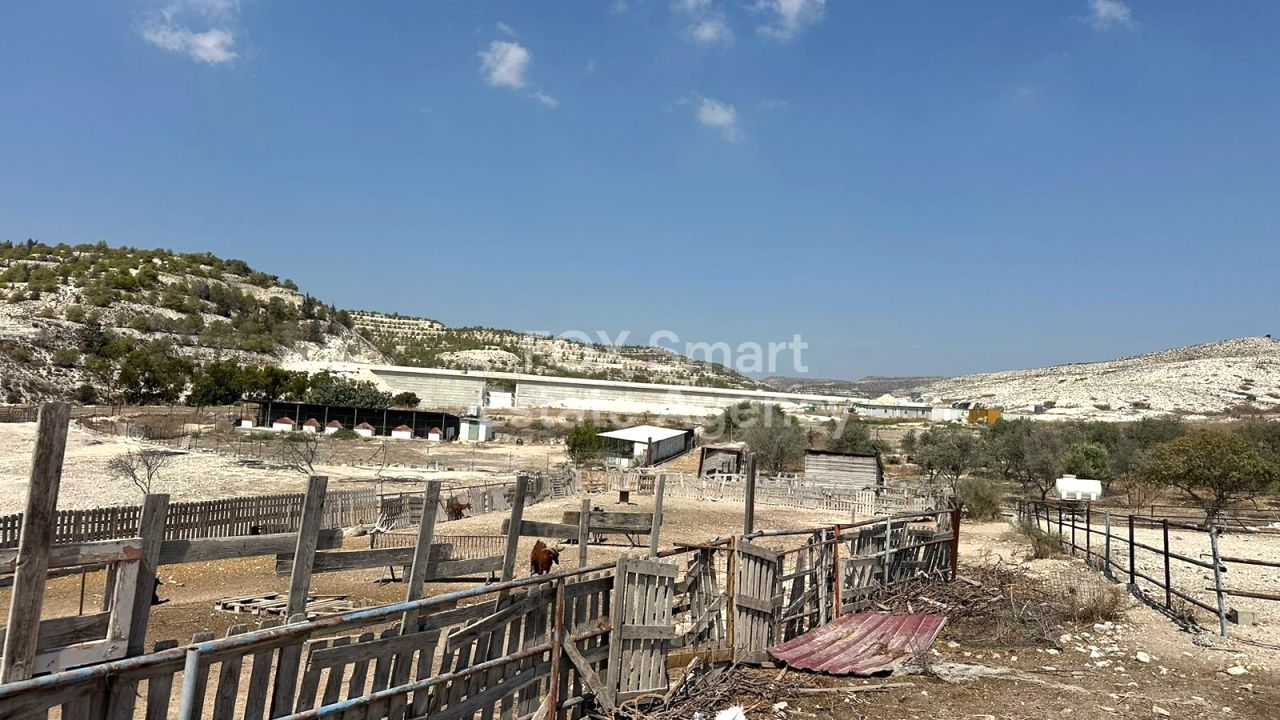 Thumbnail 17 Property 7100 Aradippou, Larnaca / 45732