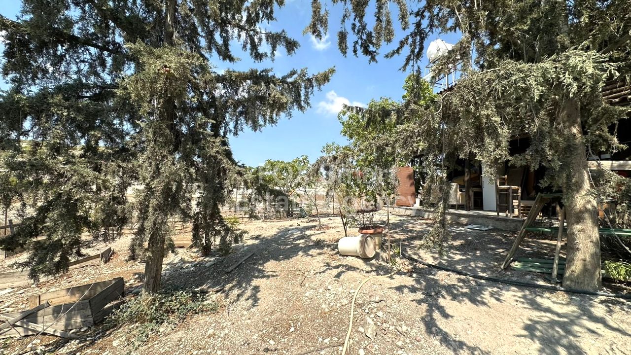 Thumbnail 22 Property 7100 Aradippou, Larnaca / 45732