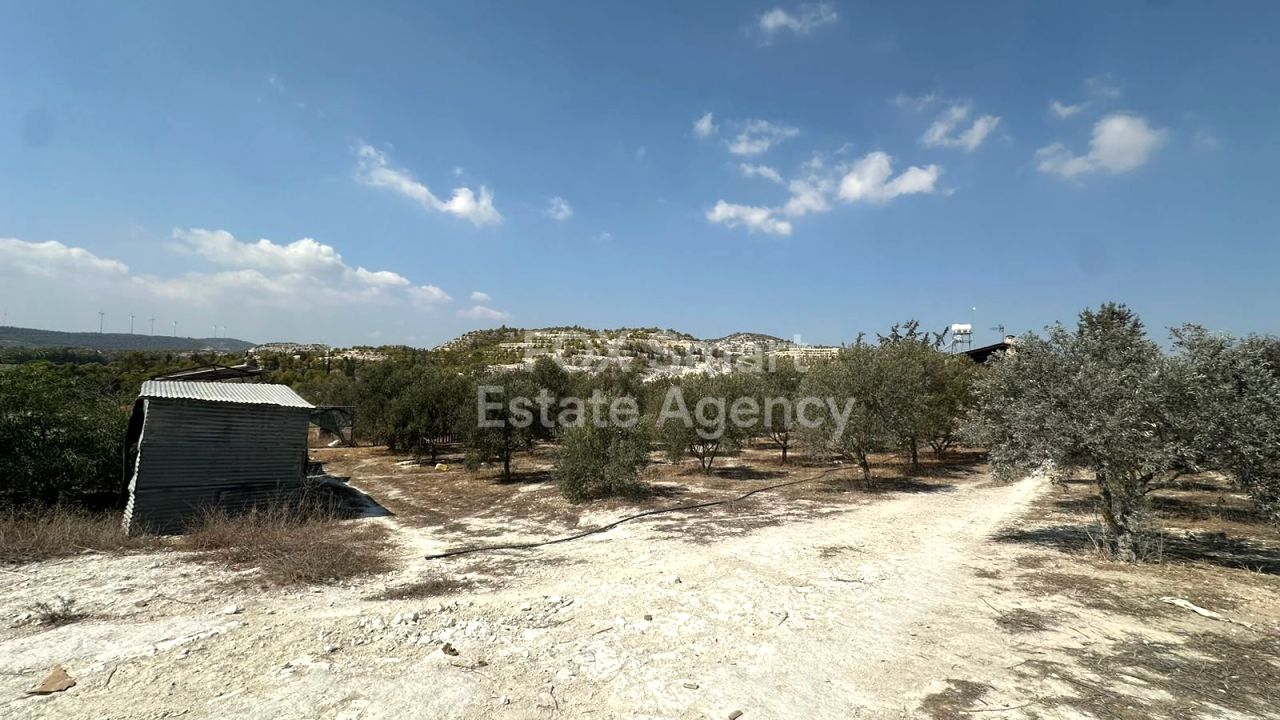 Thumbnail 15 Property 7100 Aradippou, Larnaca / 45732