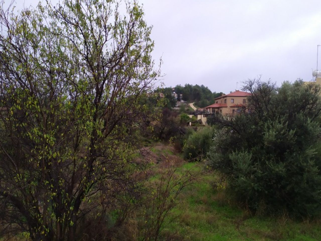 Bien immobilier 6278 Kalo Chorio Oreinis, Nicosie / P-108093