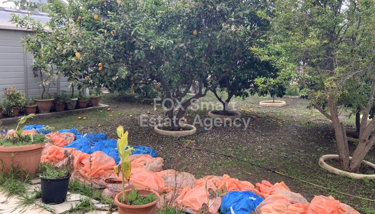 Thumbnail 3 Proprietà 7550 Kiti, Larnaca / 49893