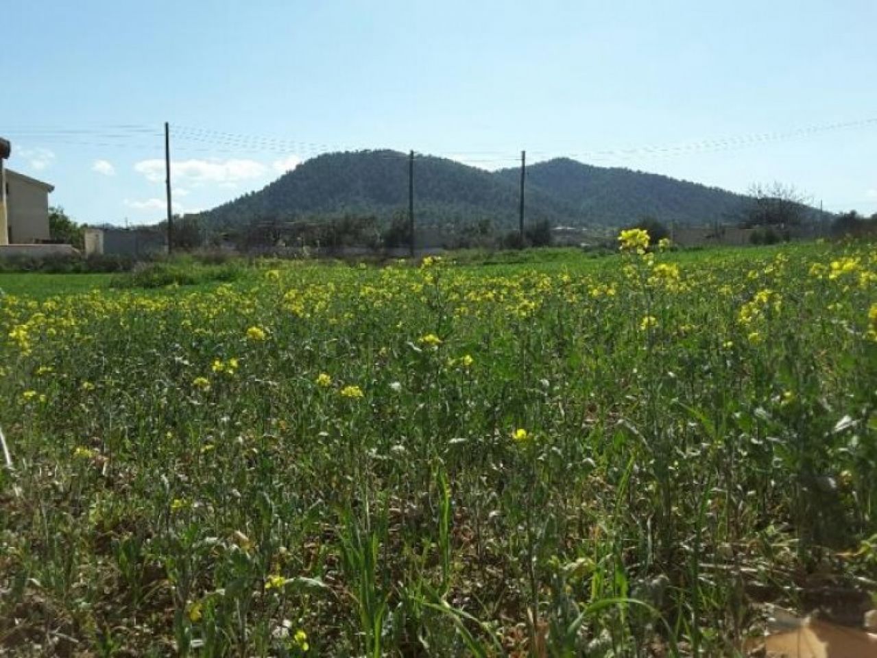 Thumbnail 1 Ακίνητα 2600 Κλήρου, Λευκωσία / P-64325
