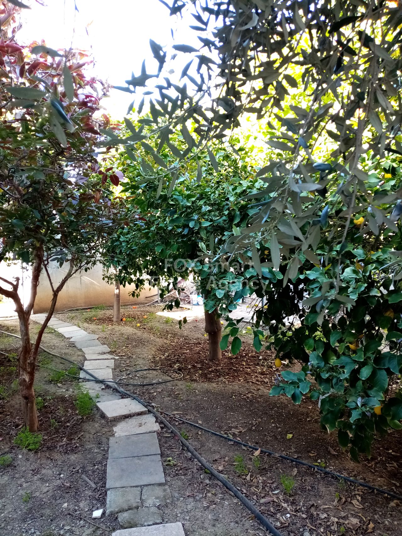 Thumbnail 3 Ακίνητα 2300 Λακατάμια, Λευκωσία / 46744