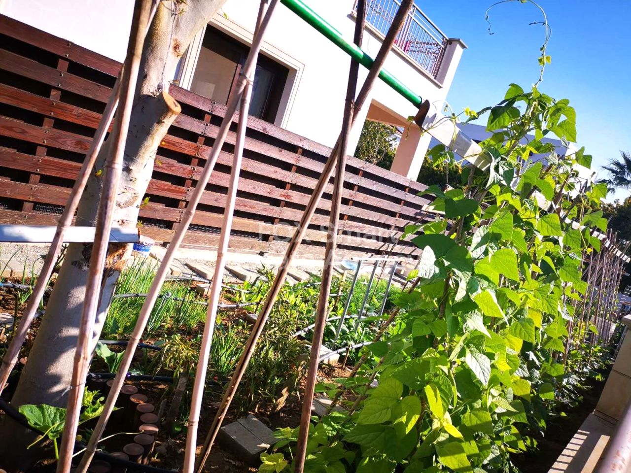 Thumbnail 6 EIGENTUM 2201 Latsia, Nikosia / 48180