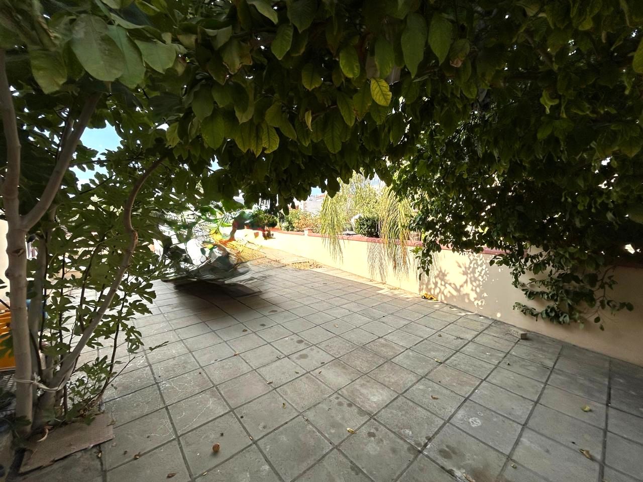 Thumbnail 11 Недвижимость 2958 Мансура, Никосия / 10310