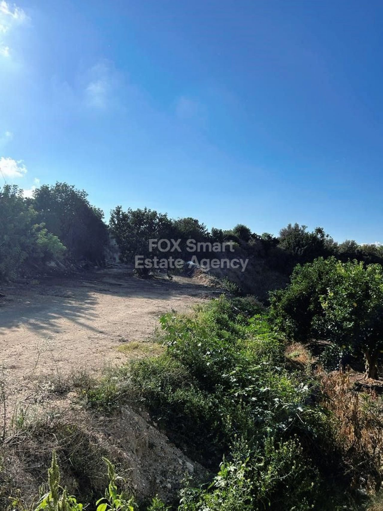 Thumbnail 4 Недвижимость 8560 Пегея, Пафоса / LIM-PAF-13390