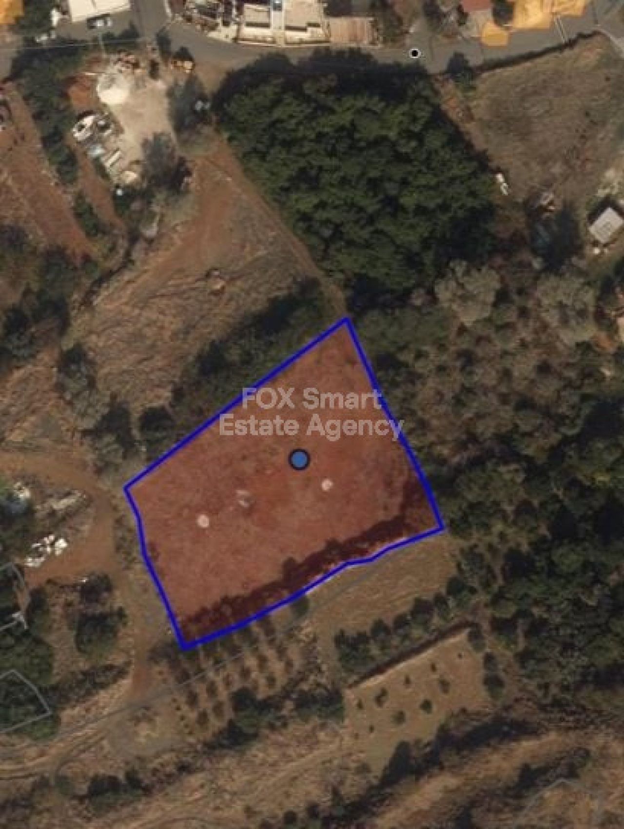 נכס 19344 פומוס, פאפוס / LIM-PAF-15765