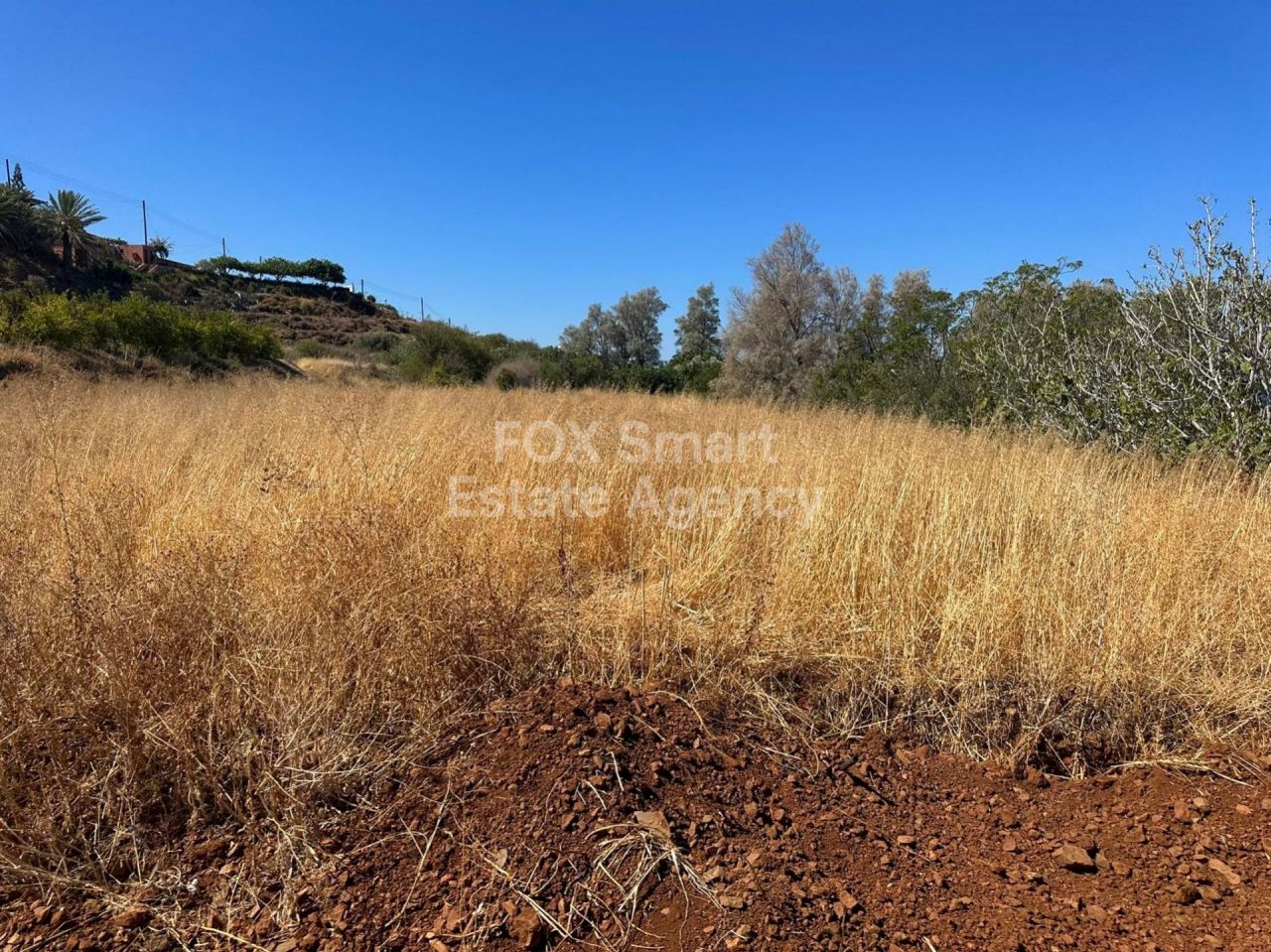 נכס 19344 פומוס, פאפוס / LIM-PAF-15765