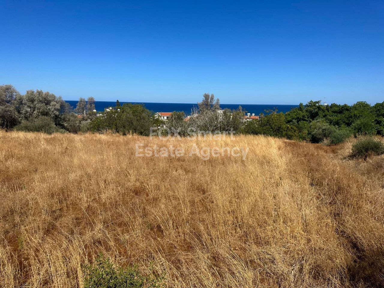 נכס 19344 פומוס, פאפוס / LIM-PAF-15765