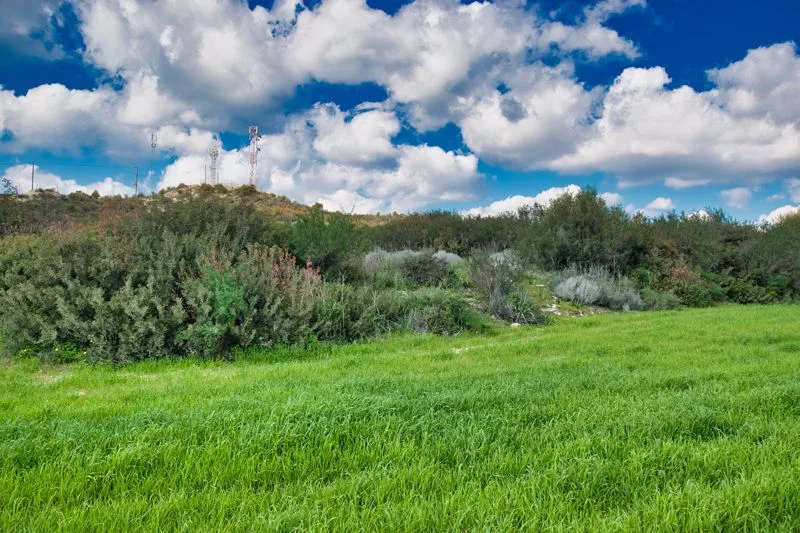 Bien immobilier 34195 Choirokoitia, Larnaca / epcc1181l