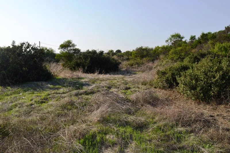 Immobilie 33819 Alethriko, Larnaka / epcc2402l