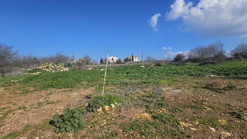 נכס 59221 איניה, פאפוס / epcc4704 25