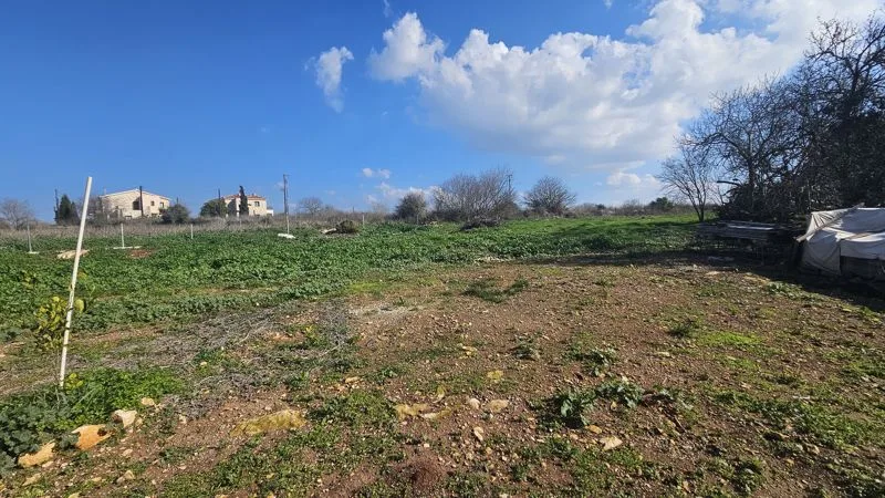 נכס 59221 איניה, פאפוס / epcc4704 29