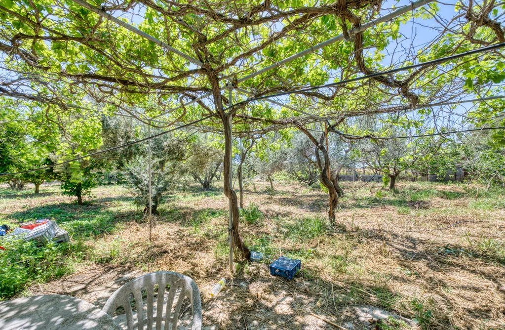 נכס epcc6046 קיטי, לרנקה 40