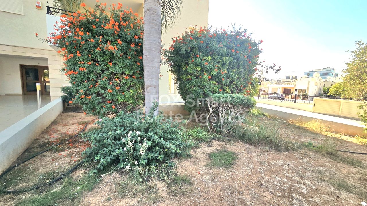 Thumbnail 18 LIM-PAF-31739 / נכס 3082 קפסאלוס, לימסול