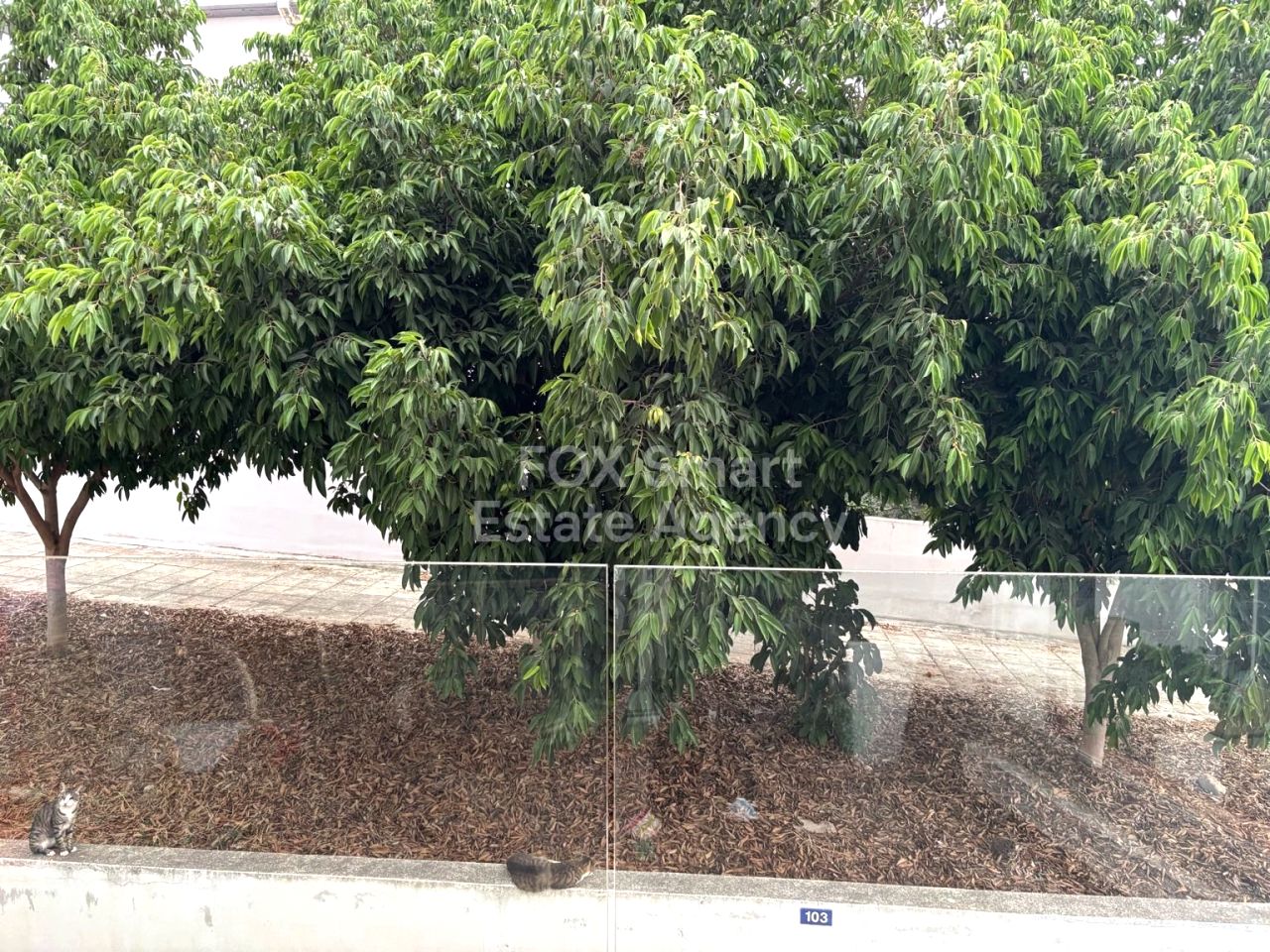 Thumbnail 4 Property 2300 Lakatamia, Nicosia / 47346