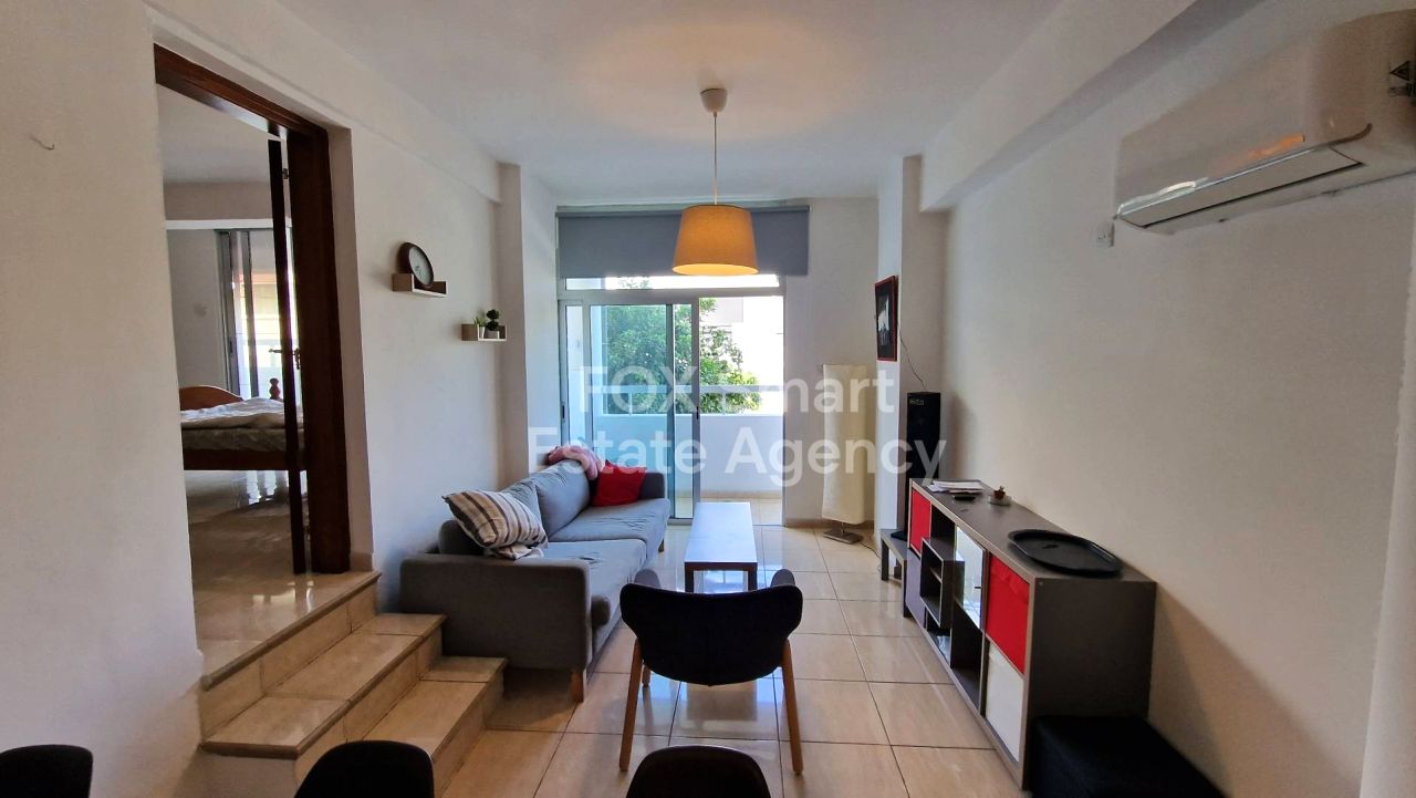 Thumbnail 1 47713 / נכס 6042 לרנקה