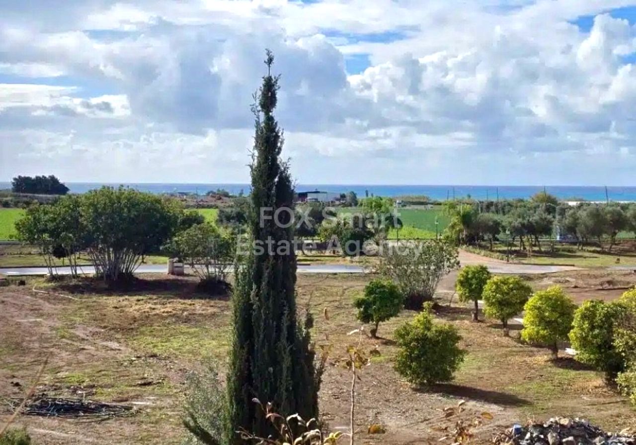 Thumbnail 18 LIM-PAF-31887 / נכס 2958 מנסורה, ניקוסיה