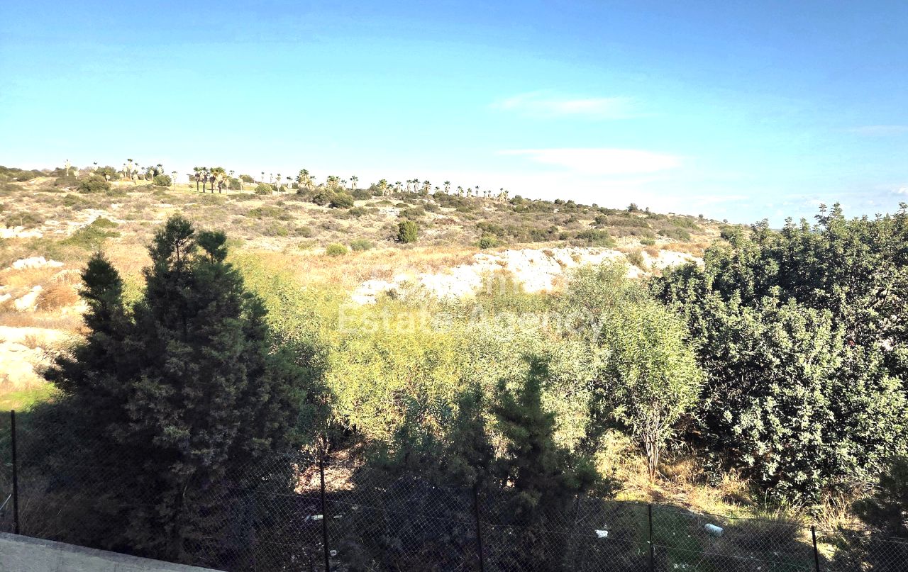 Thumbnail 5 Property 2958 Mansoura, Nicosia / LIM-PAF-32265