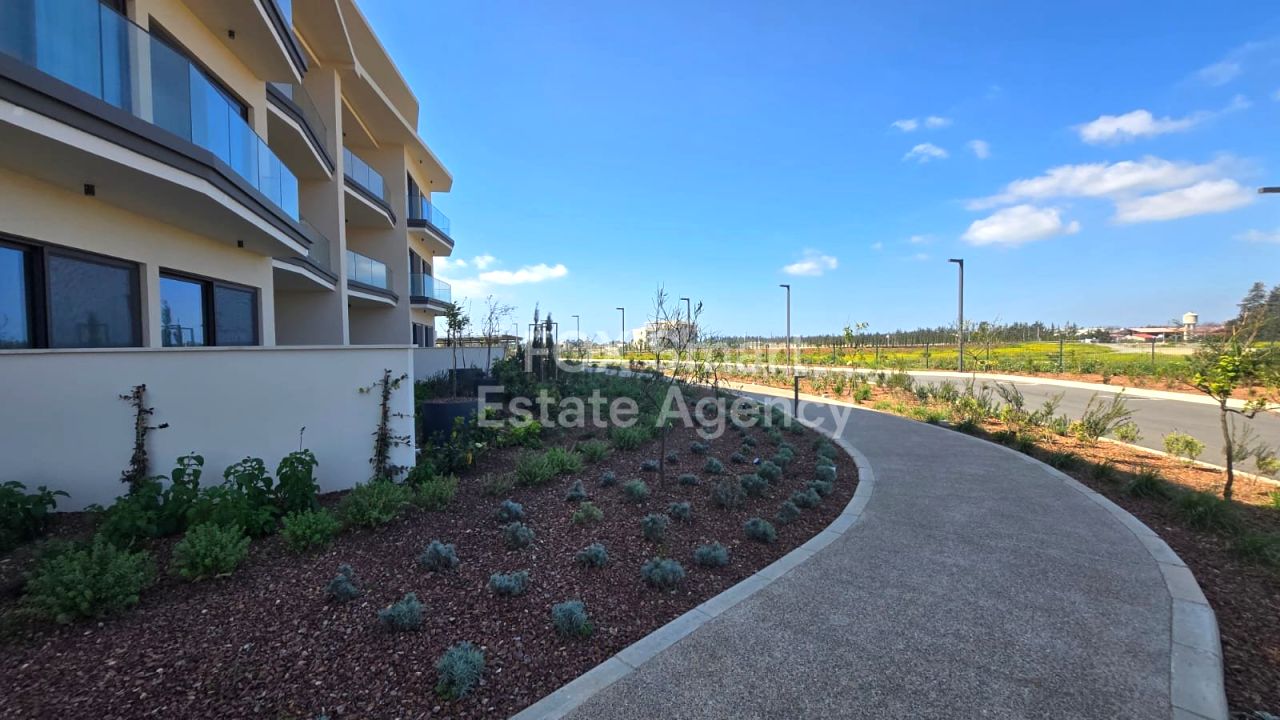 Thumbnail 9 Property 2958 Mansoura, Nicosia / LIM-PAF-33197