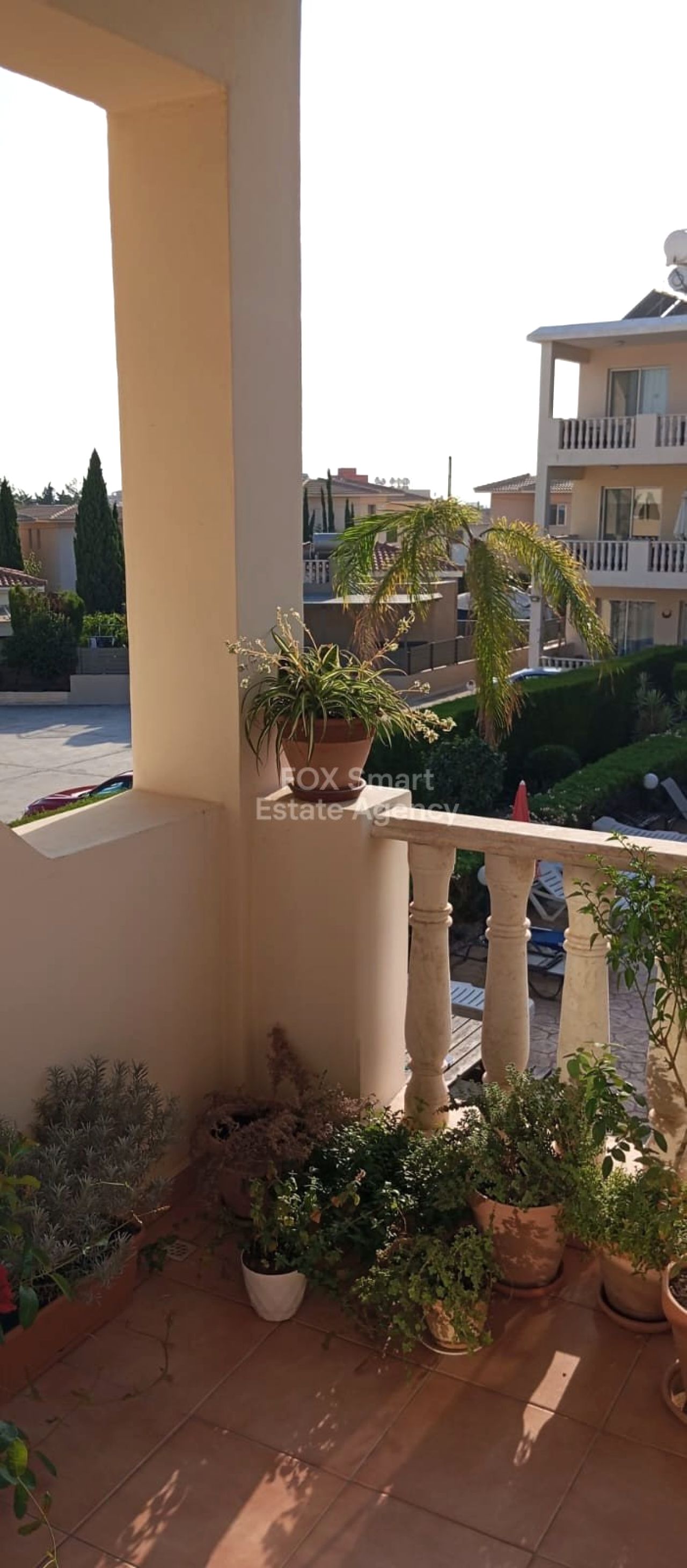 Thumbnail 4 Propiedad 2958 Mansoura, Nicosia / LIM-PAF-26166
