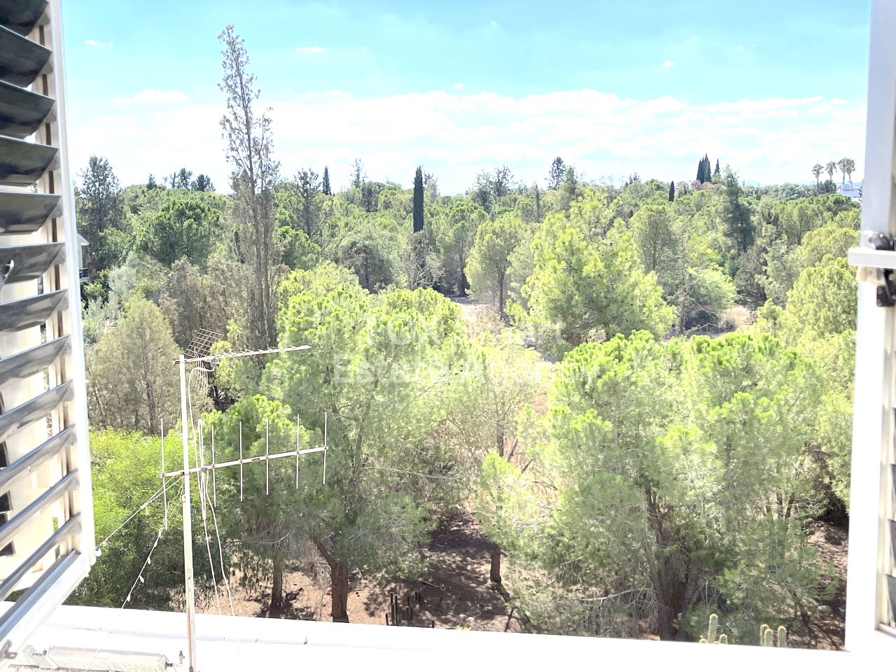 Thumbnail 25 Ακίνητα 2100 Αγκλαντζία, Λευκωσία / 46266