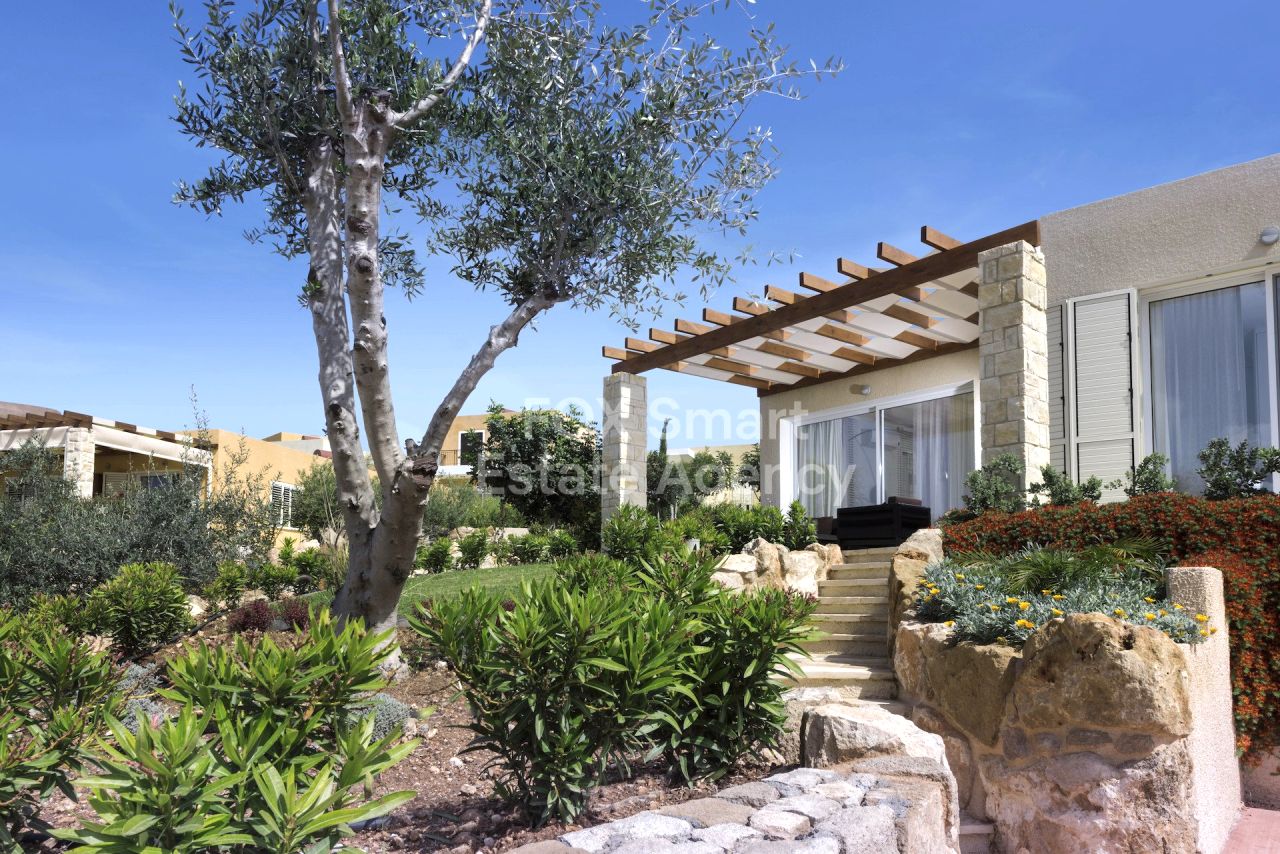 Thumbnail 22 Propriété 8220 Chloraka, Paphos / LIM-PAF-31869