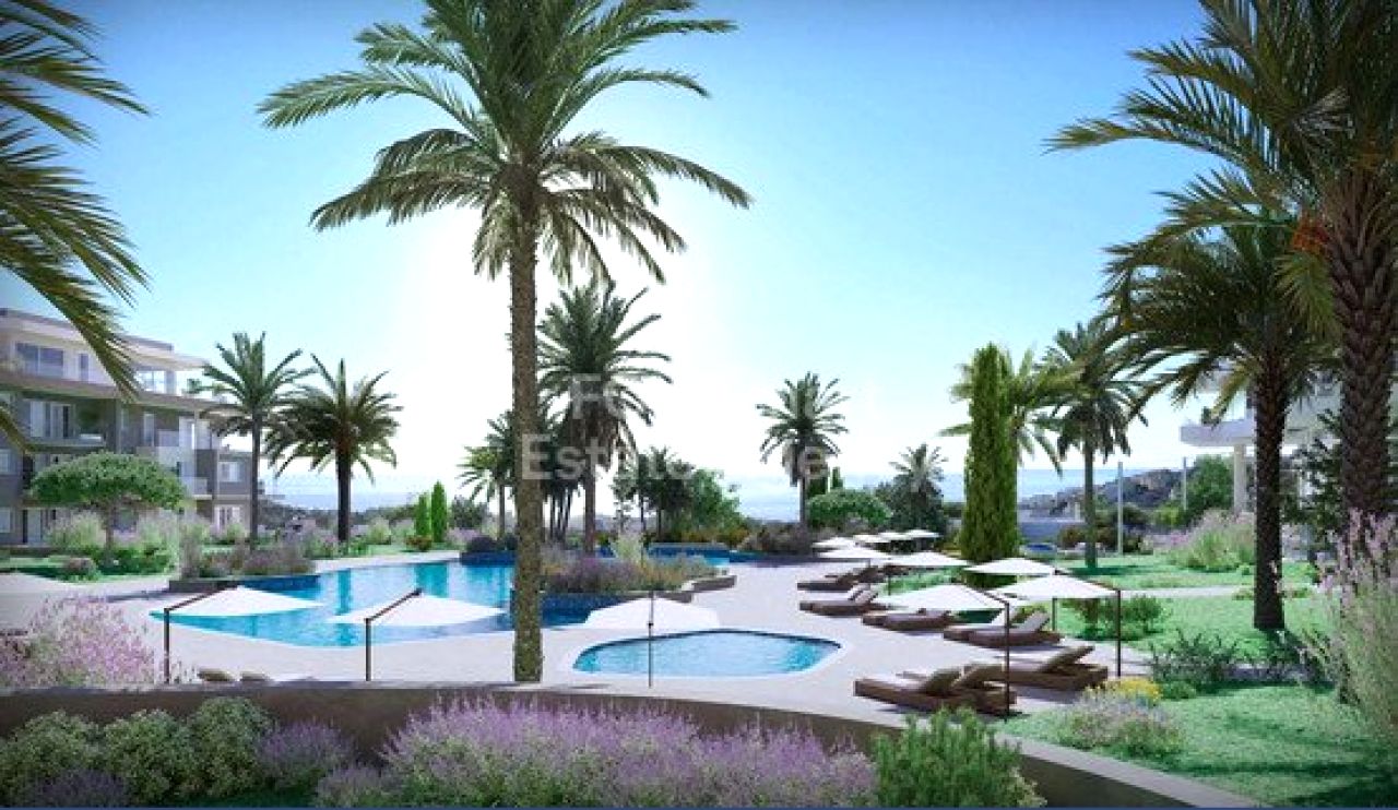 Thumbnail 1 Propriété 8220 Chloraka, Paphos / LIM-PAF-32336