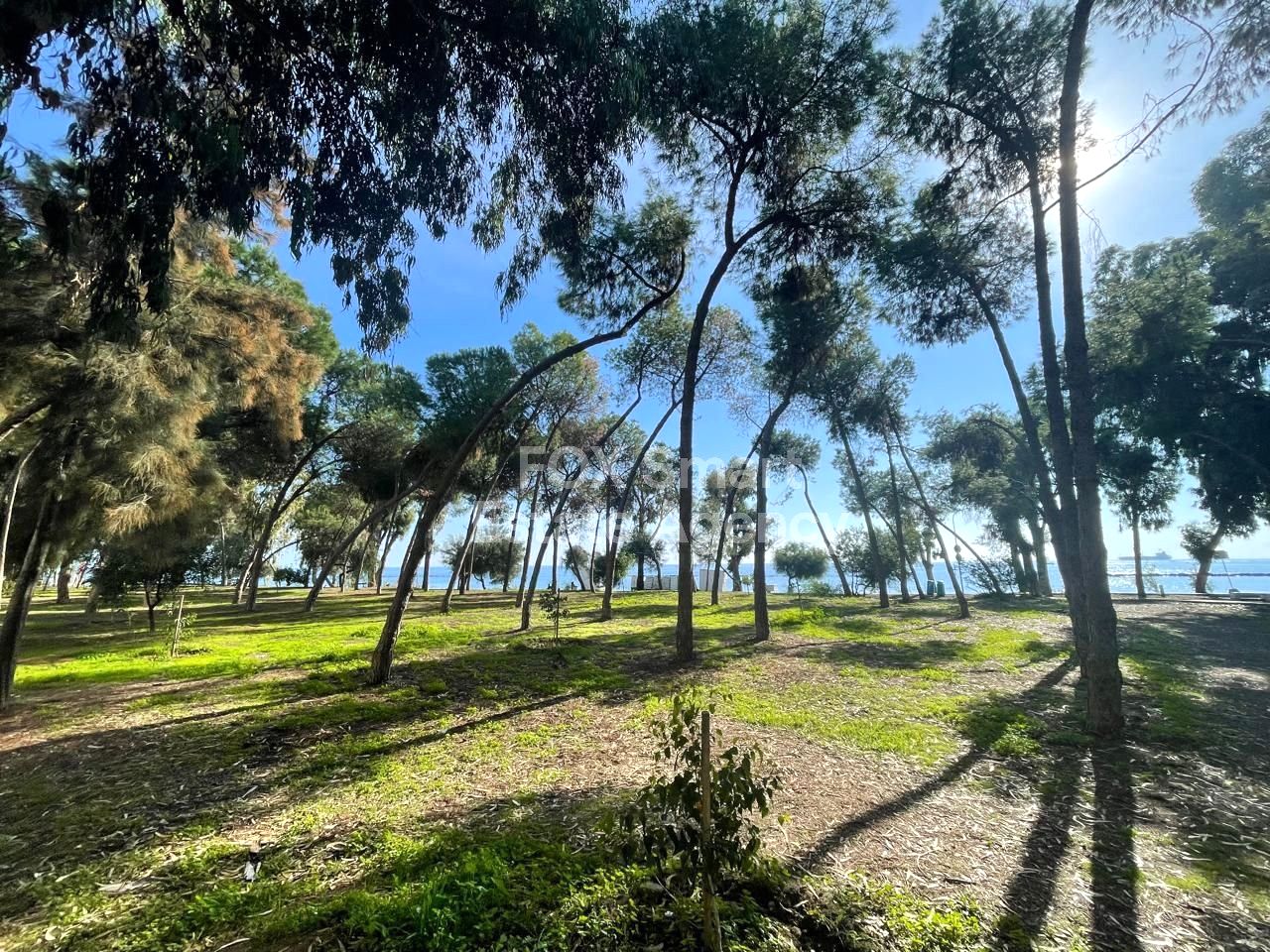 Thumbnail 13 Property 4040 Germasogeia, Limassol / LIM-PAF-27584