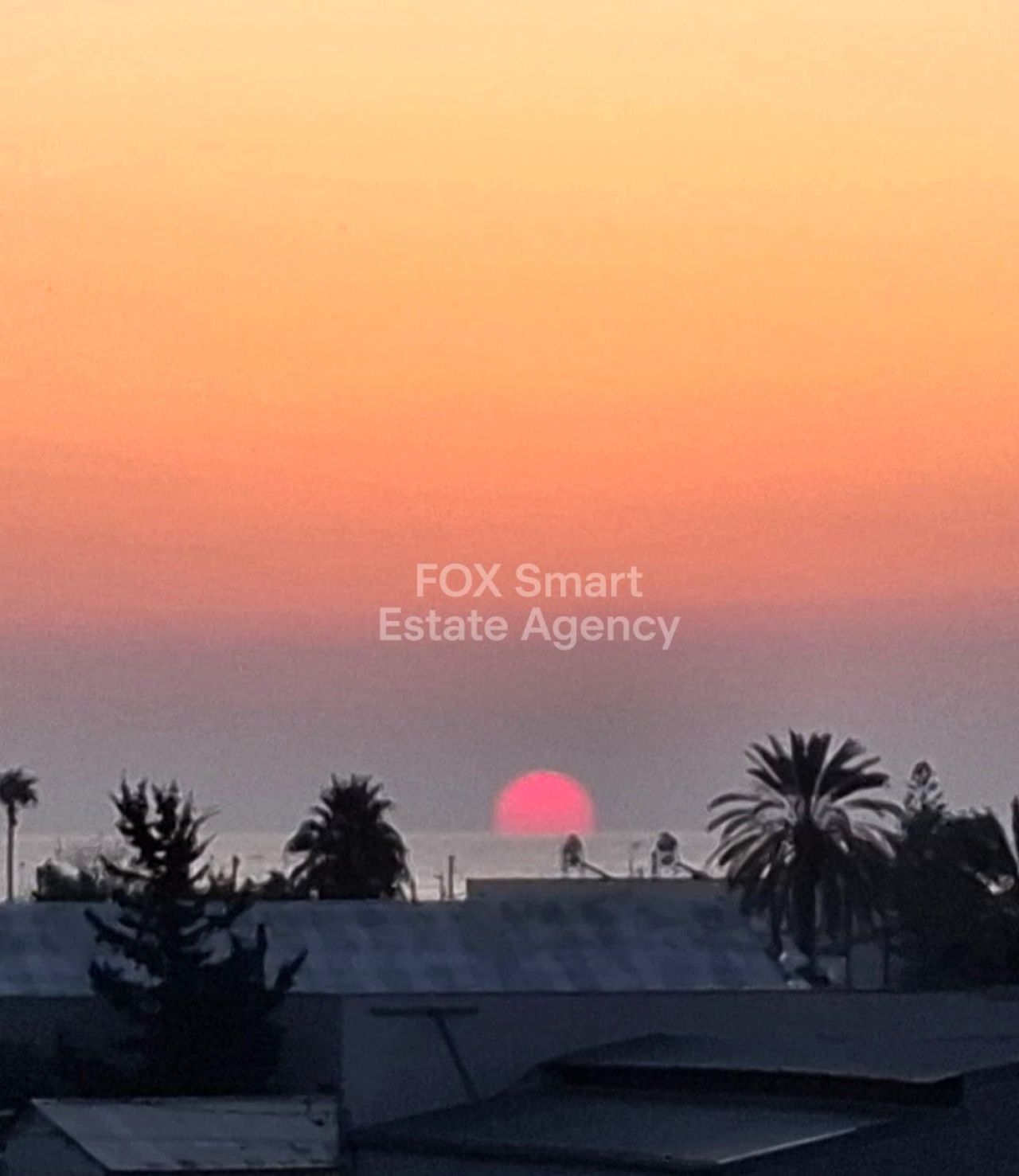 Thumbnail 3 Proprietà 6042 Larnaca / 47013