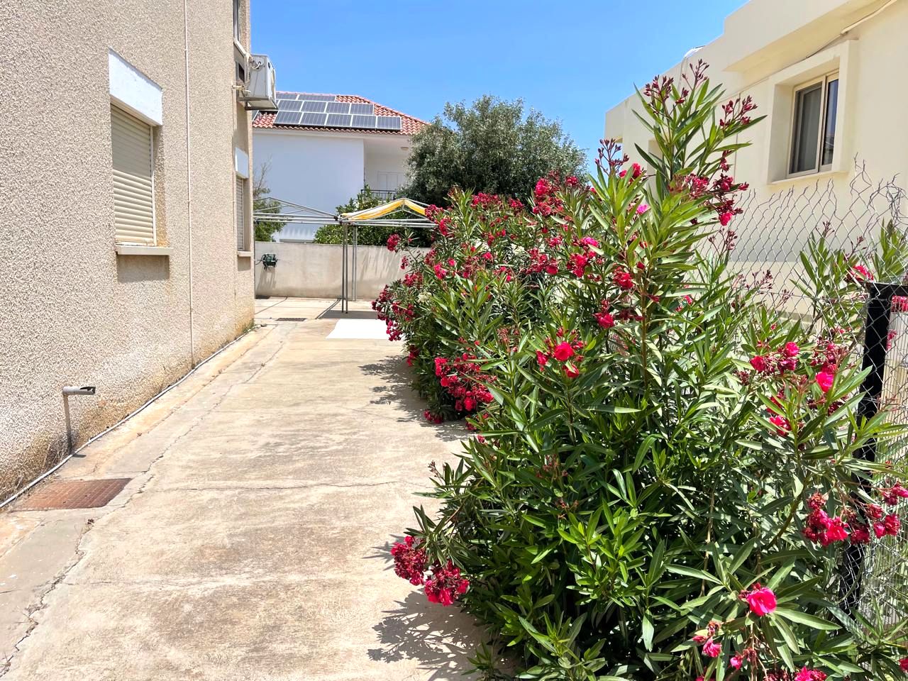 Propiedad 53859 Mammari, Nicosia / 10170 18
