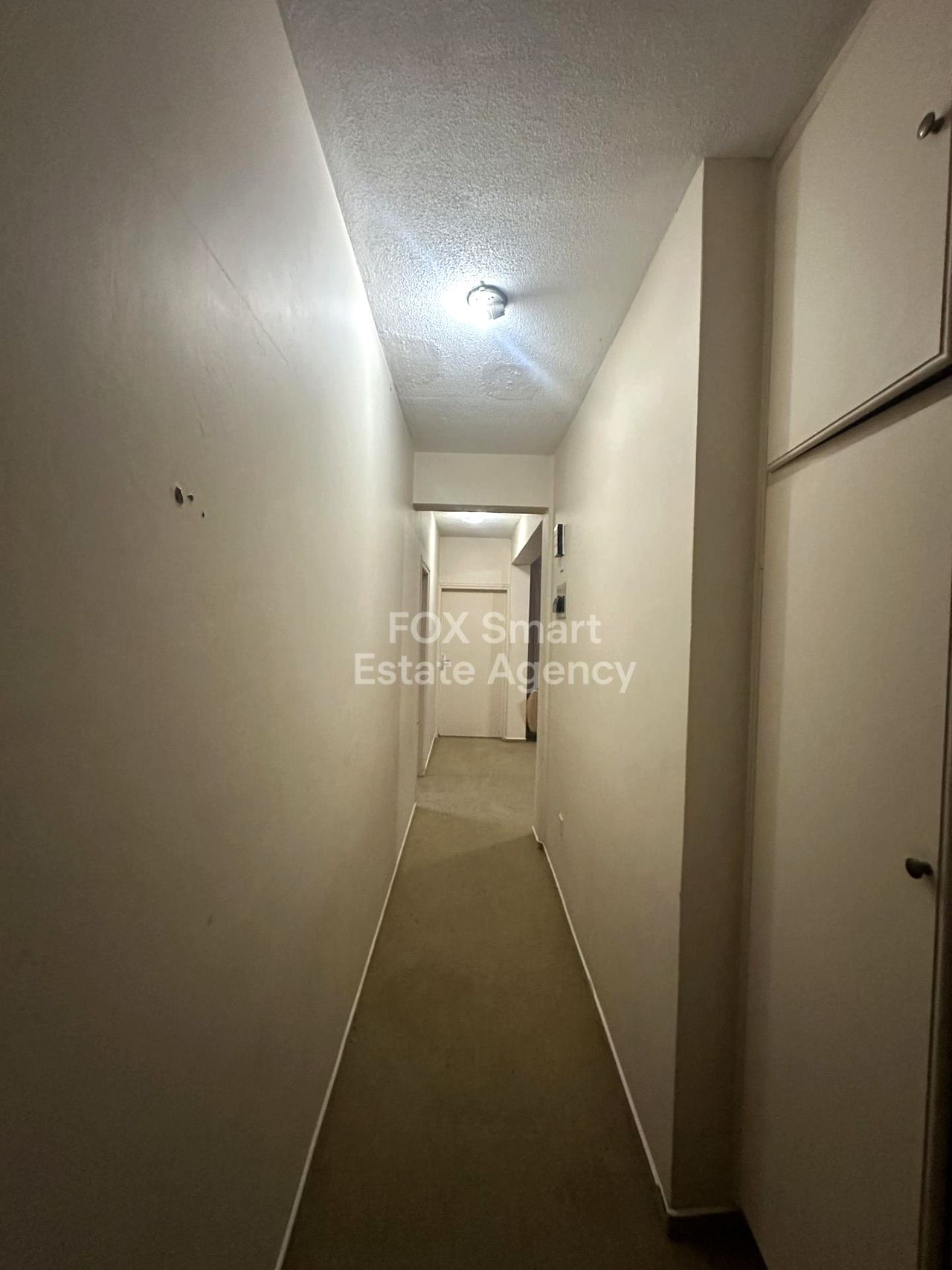 Thumbnail 26 LIM-PAF-32042 / נכס 2958 מנסורה, ניקוסיה